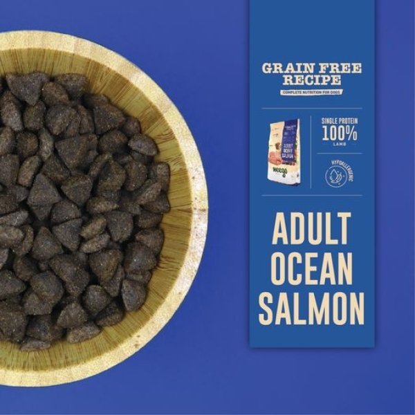 Weego Grain Free Dog Adult Ocean Salmon 2kg