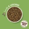 Lily's Kitchen Dog Shepherd's Pie Adult Lamb 2.5kg X 4