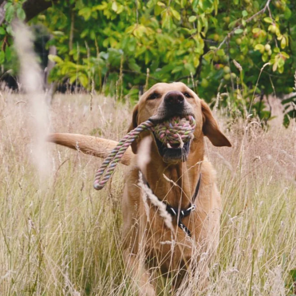 Beco Hemp Rope with Ball on Loop