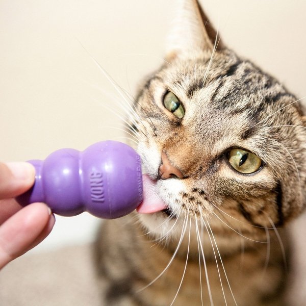 Kong Cat Kitty Kong