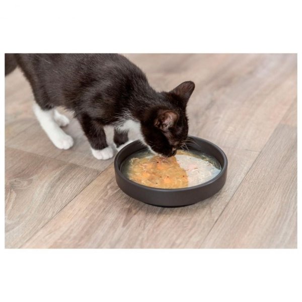 Trixie Kittis Soup (4 x 80 g)