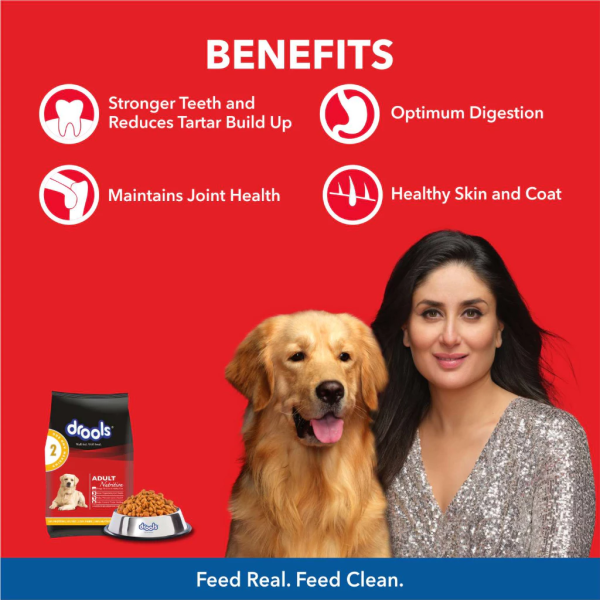 Drools Dog food Chicken and egg Adult 10kg