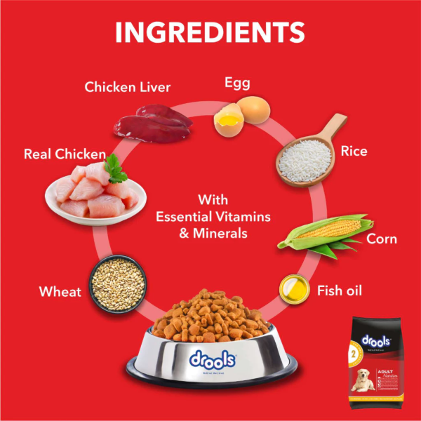 Drools Dog food Chicken and egg Adult 10kg
