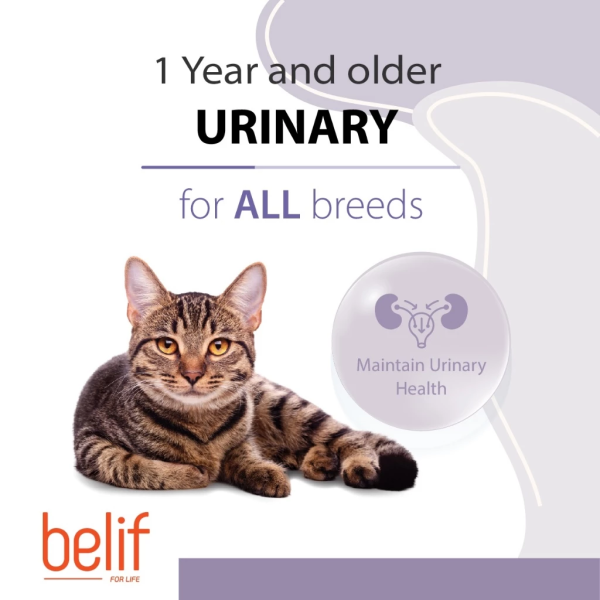 Belif Smartcare Urinary Poultry Adult All Breed (2.5kg) | Cat Dry Food