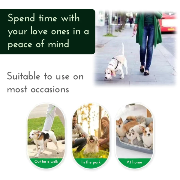Biodegradable Pet Waste Litter Bag Environment Friendly Portable Travel Scented Poop Bags for Cats Dogs