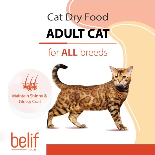 Belif Smartcare Poultry All Breed Adult (7.5kg) | Cat Dry Food