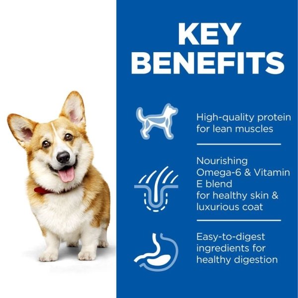 Hill's Science Plan Dog Adult Small & Mini Chicken 1.5kg